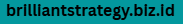 brilliantstrategy.biz.id